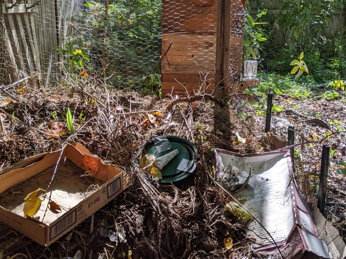 Way to Compost 5: Bed&nbsp;Rest